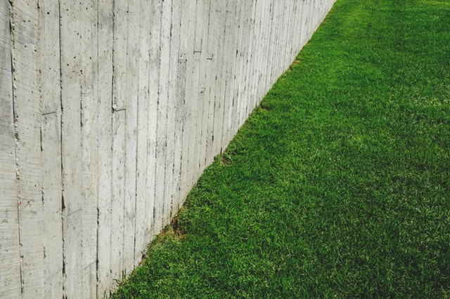 šedý plot, trávník